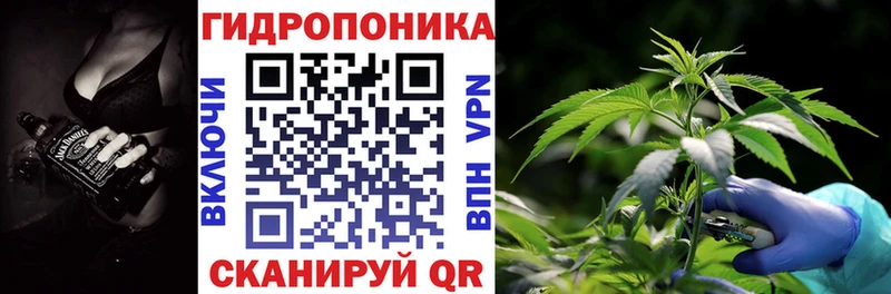 Бошки марихуана AK-47 где купить наркоту Лихославль